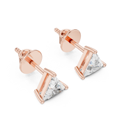 L1 ER-0005