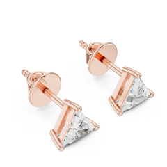 L1 ER-0005
