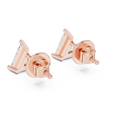 L1 ER-0005