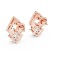 L1 ER-0011