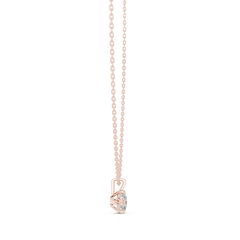 L8 GPD-0036