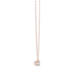 L8 GPD-0042