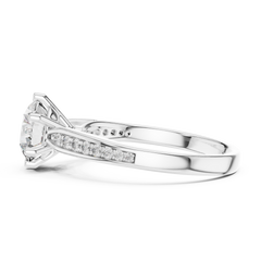 L1 LR-0038