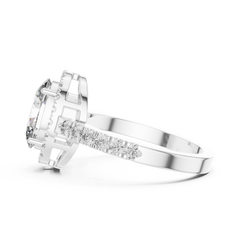 L1 LR-0050